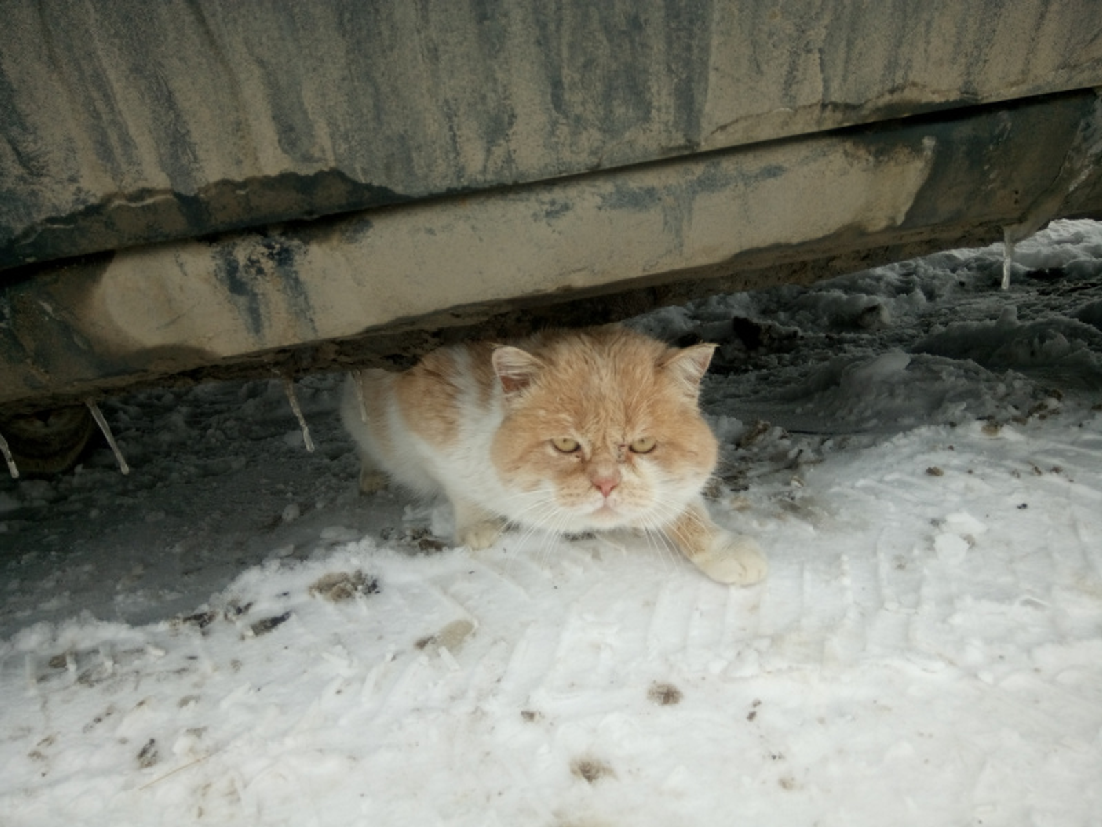 Фото Васили Саитовой.