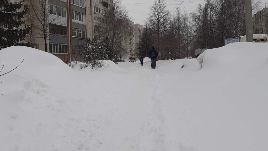 Владимира Шакиева.  «Общественная электронная газета».