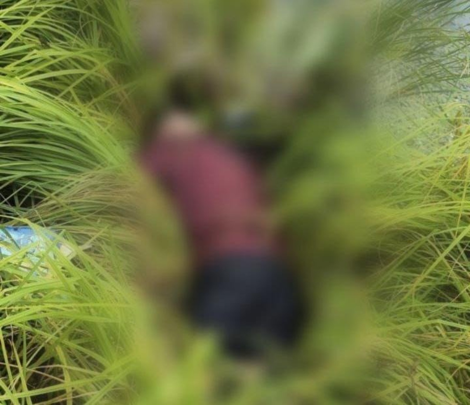 ГУ МЧС РФ по РБ.