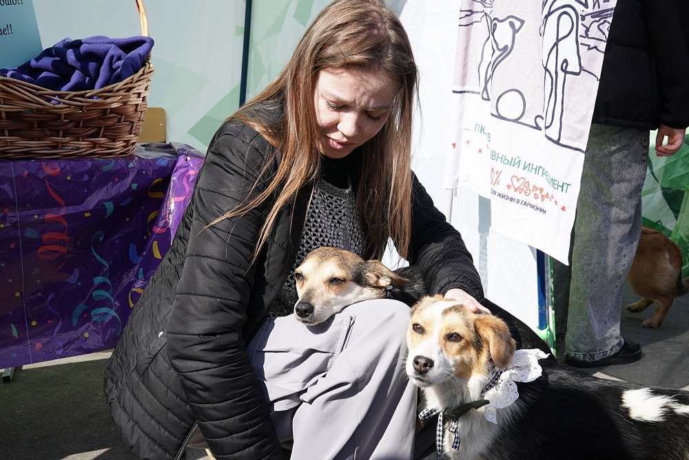 c сайта https://glavarb.ru. c сайта https://glavarb.ru.