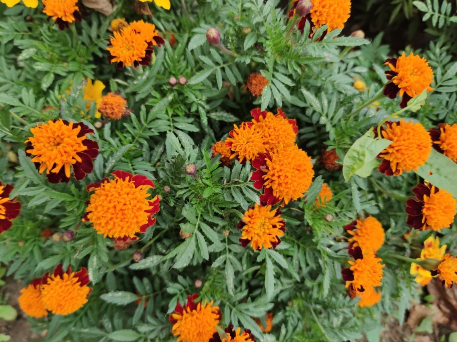 Дарьи Святохиной.