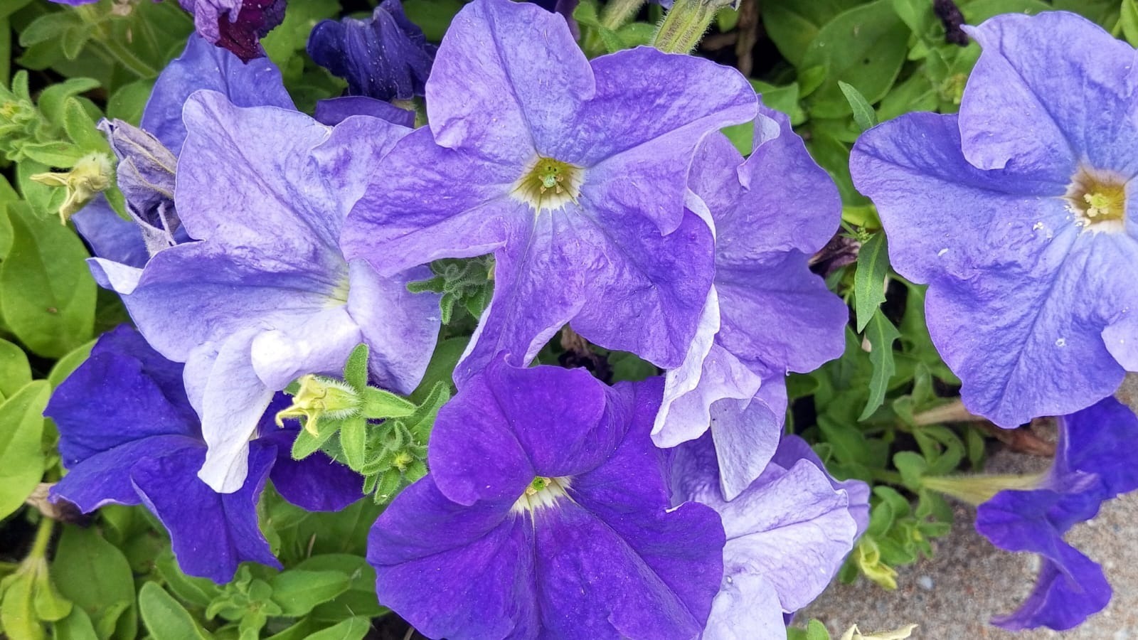 Евгении Сюткиной.