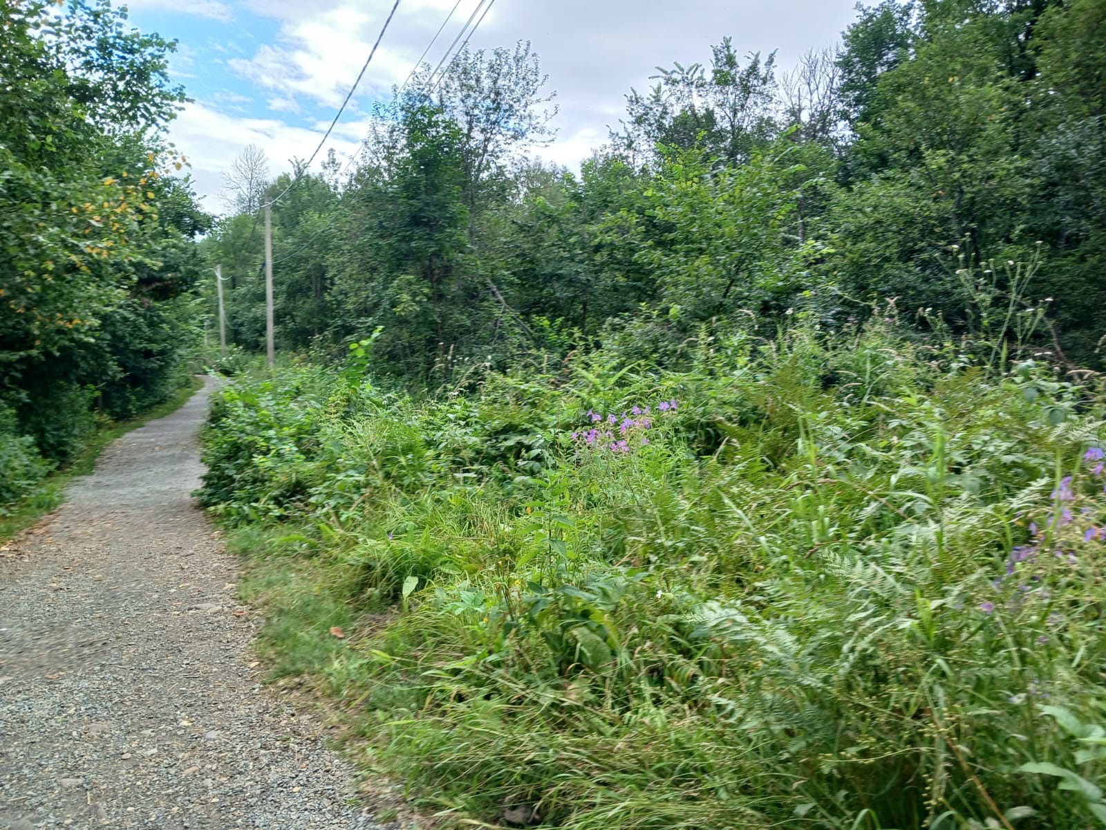 Васили Саитовой.