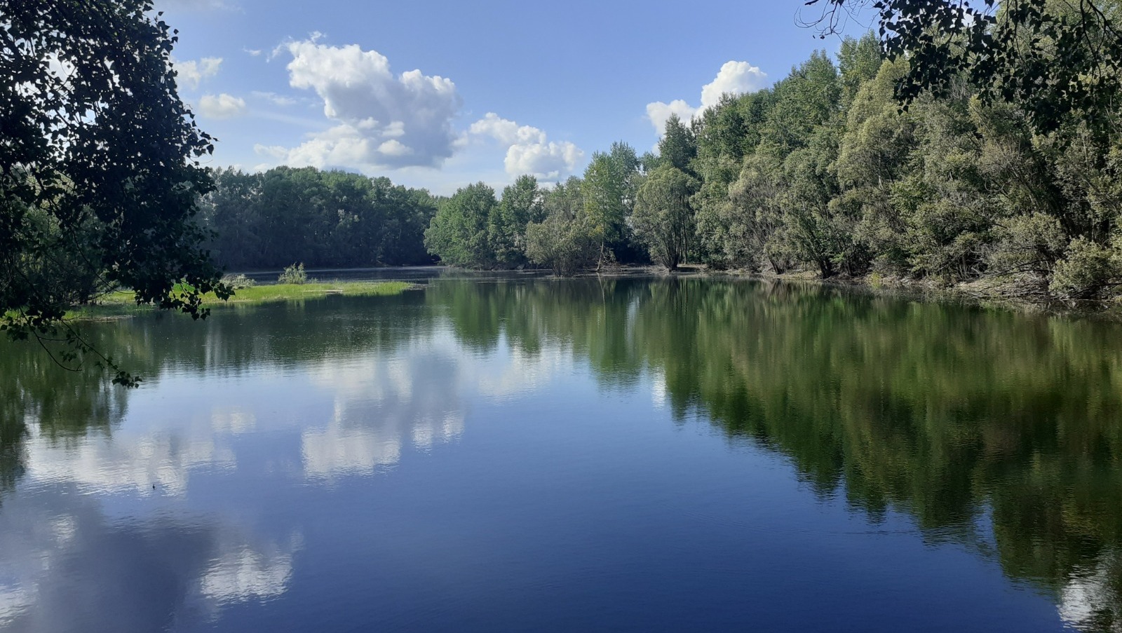 Владимира Шакиева.