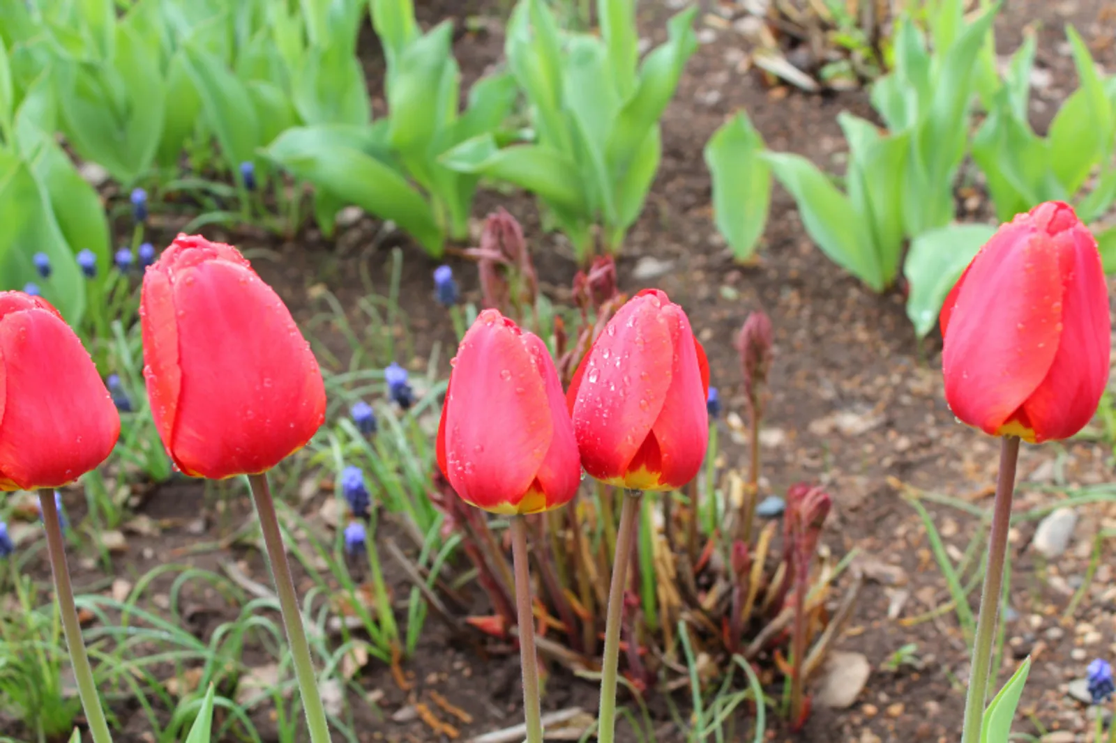 Фото автора.