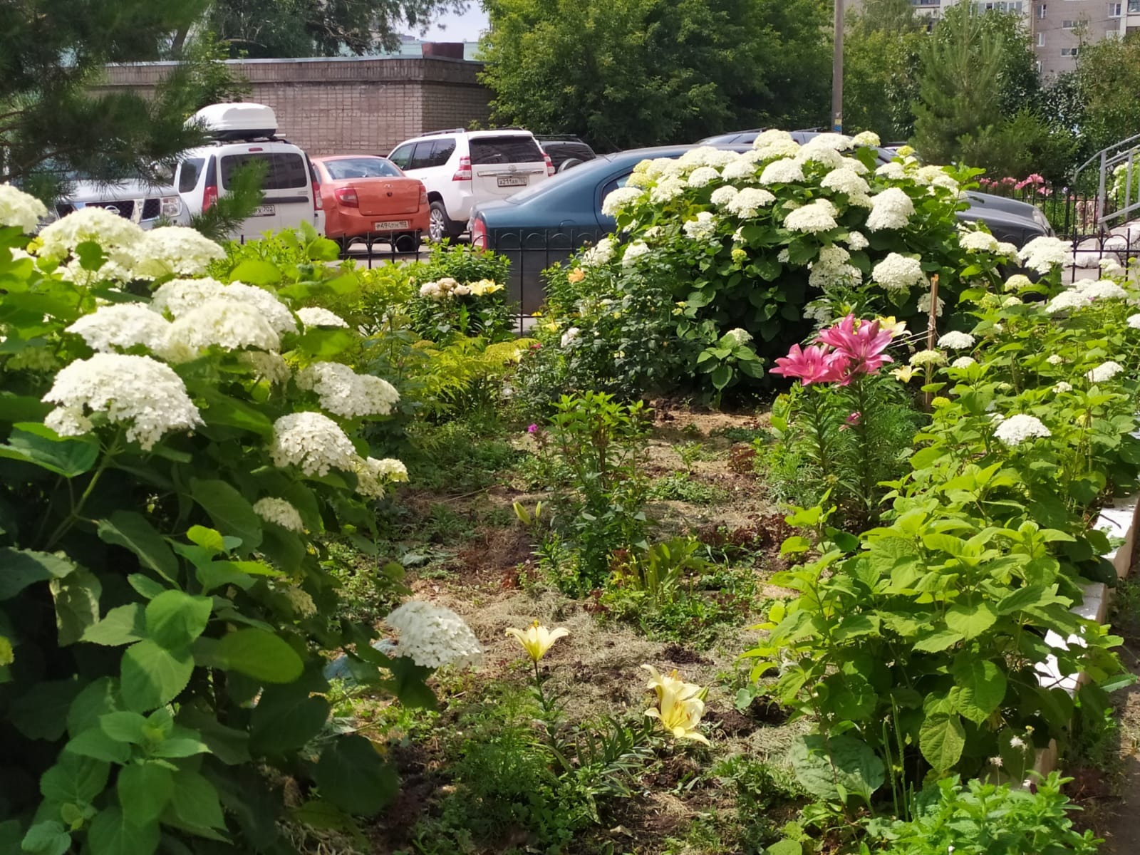 Васили Саитовой.