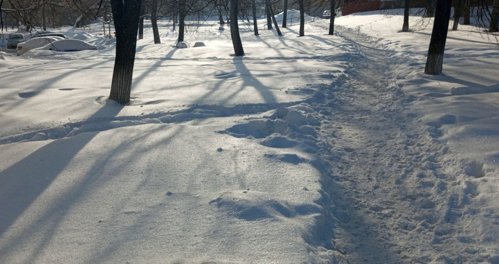 Евгении Сюткиной. «Общественная электронная газета».