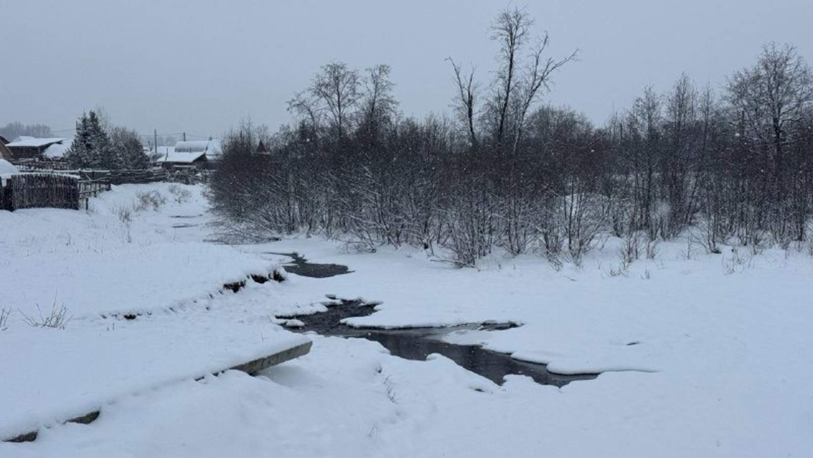Елены Колоколовой. «Общественная электронная газета».