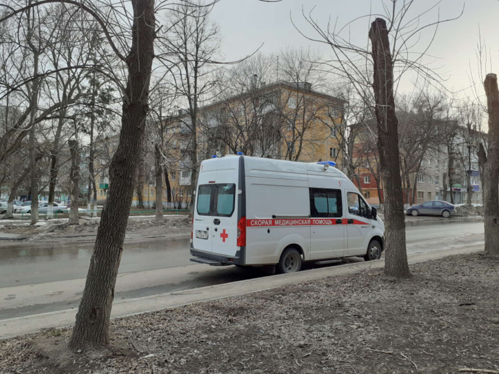 Фото автора.