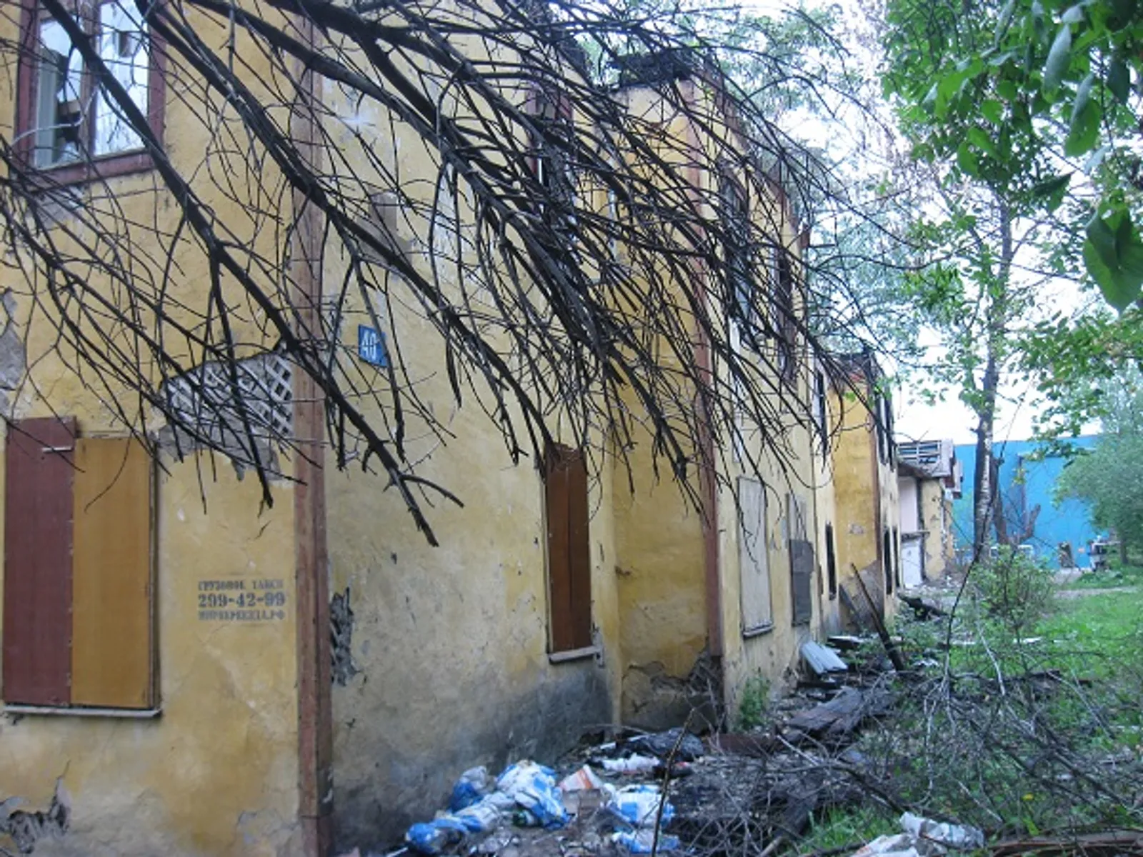 Фото Любови Колоколовой.