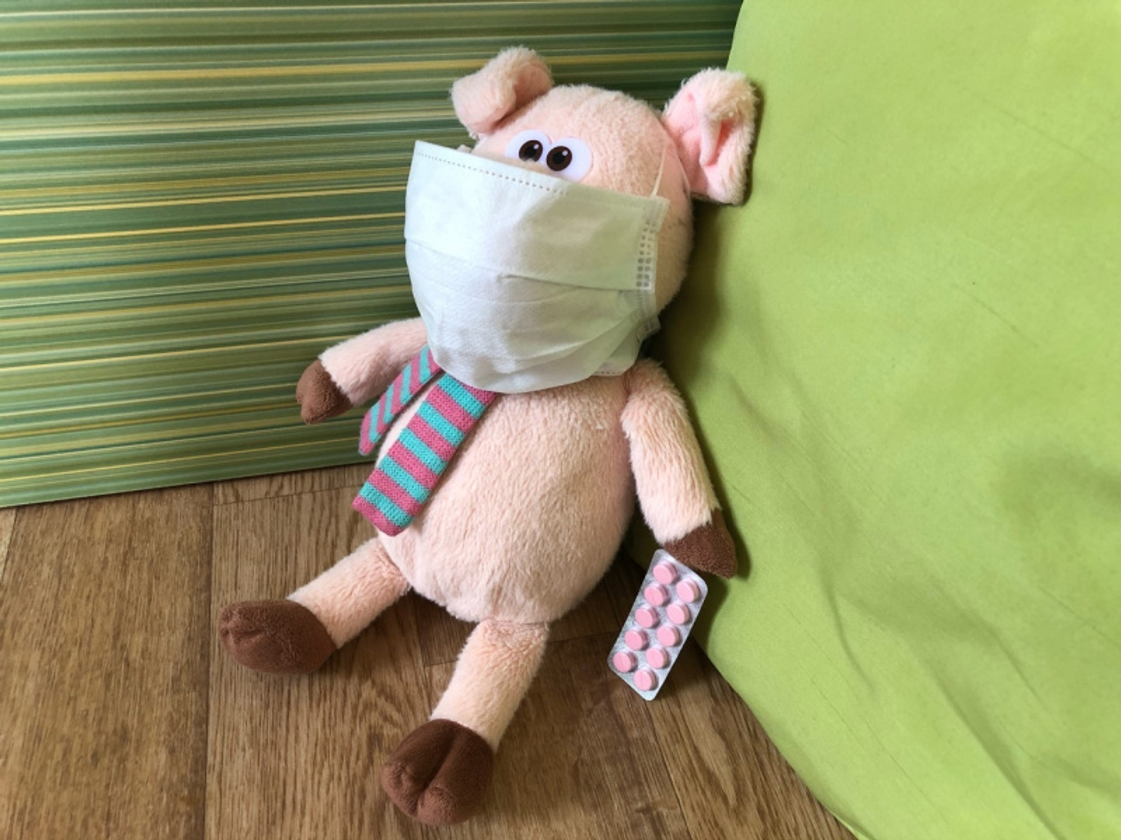 Фото Елены Колоколовой.