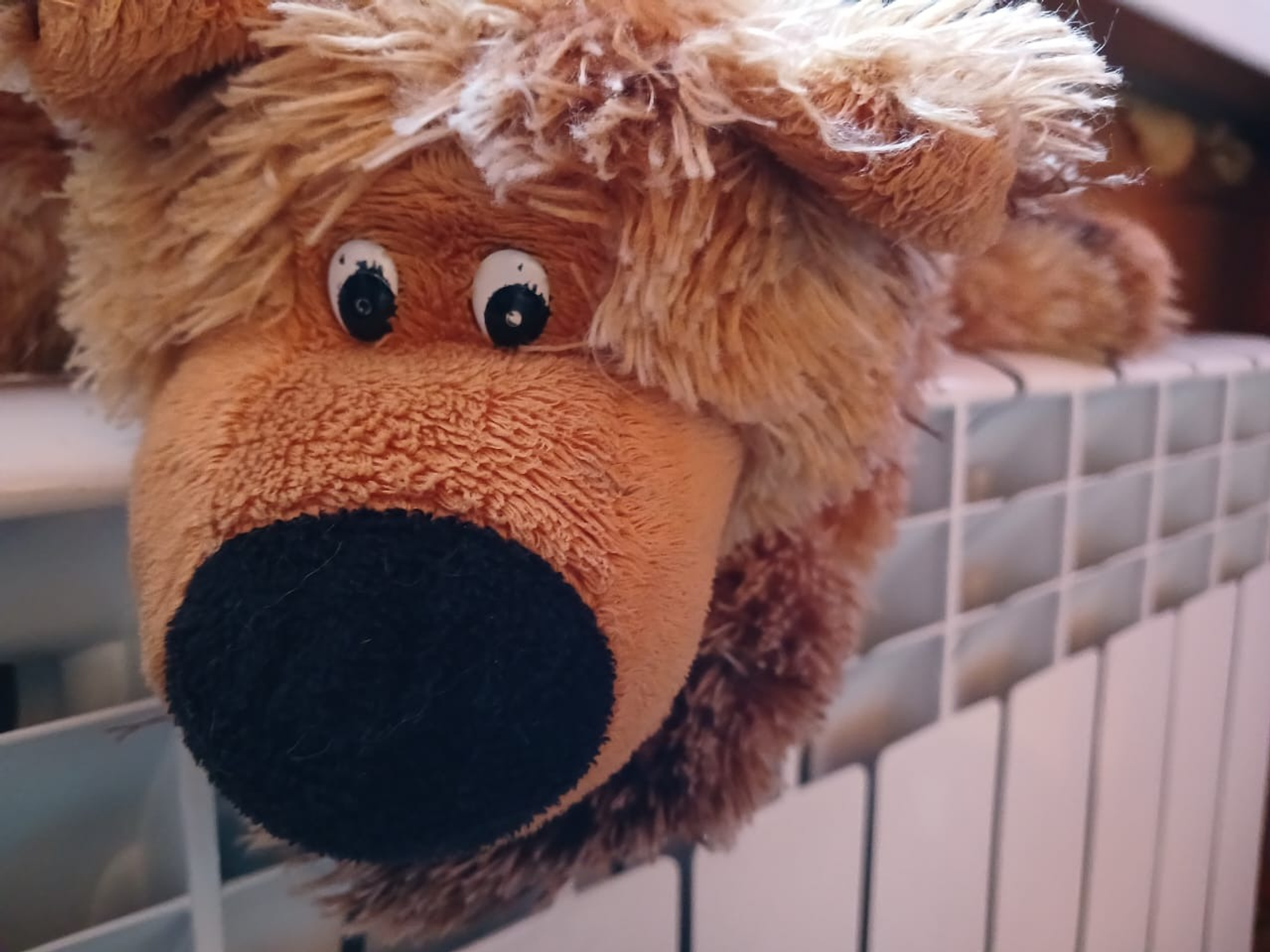 Васили Саитовой. «Общественная электронная газета».