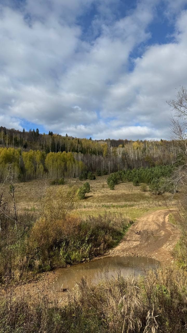 Юлии Кошкиной.