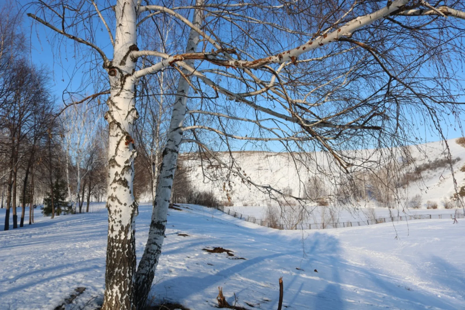 Фото Фарида Гильмиярова.
