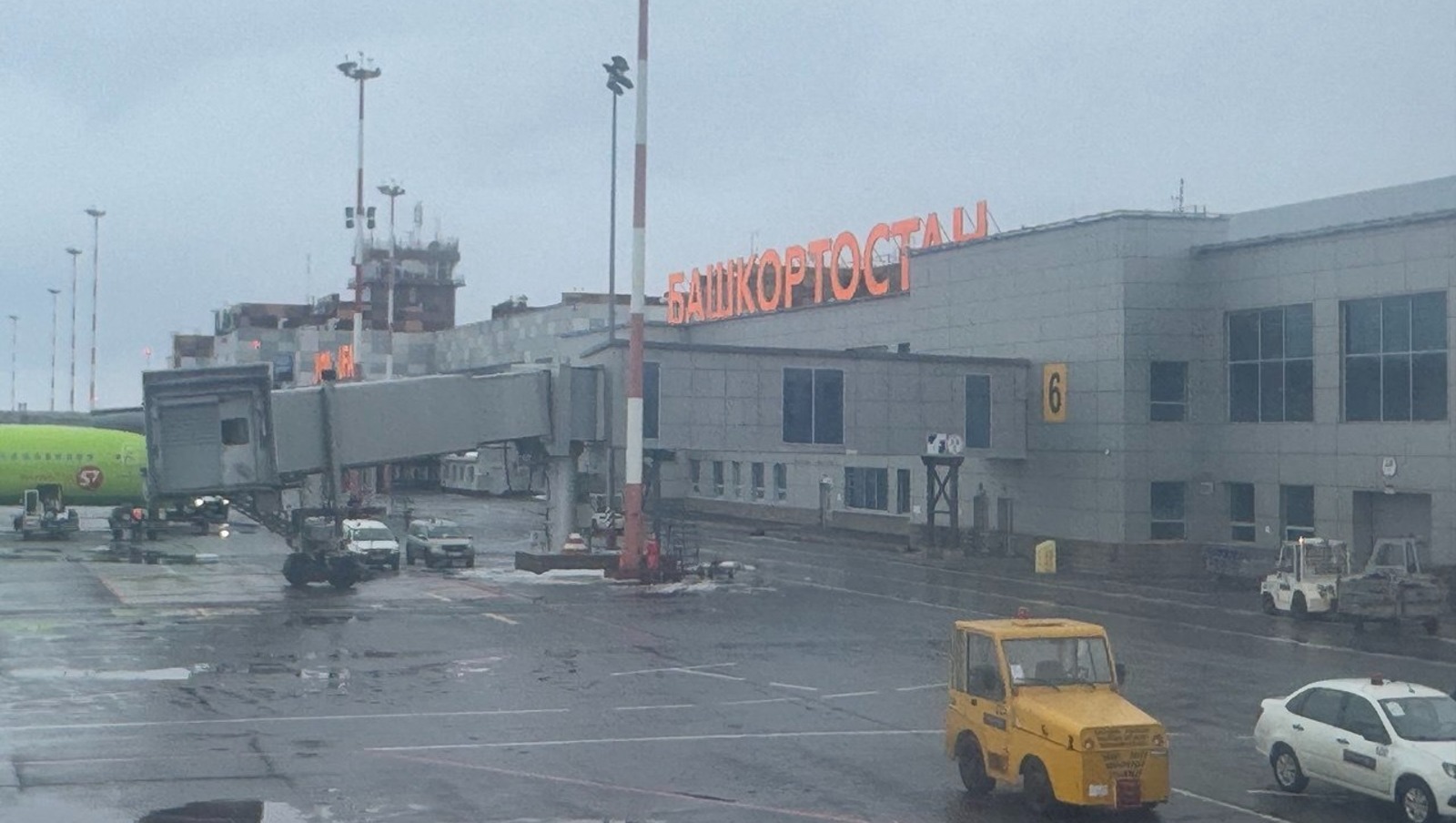 Елены Колоколовой.