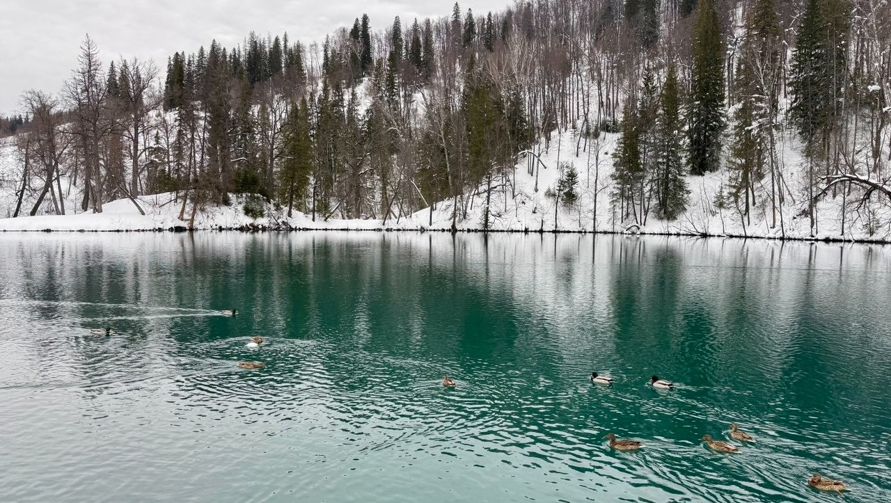 Елены Колоколовой. «Общественная электронная газета».