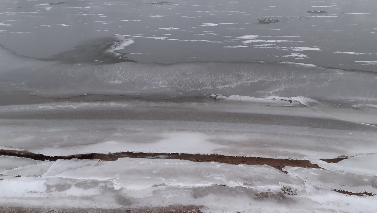 Владимира Шакиева.