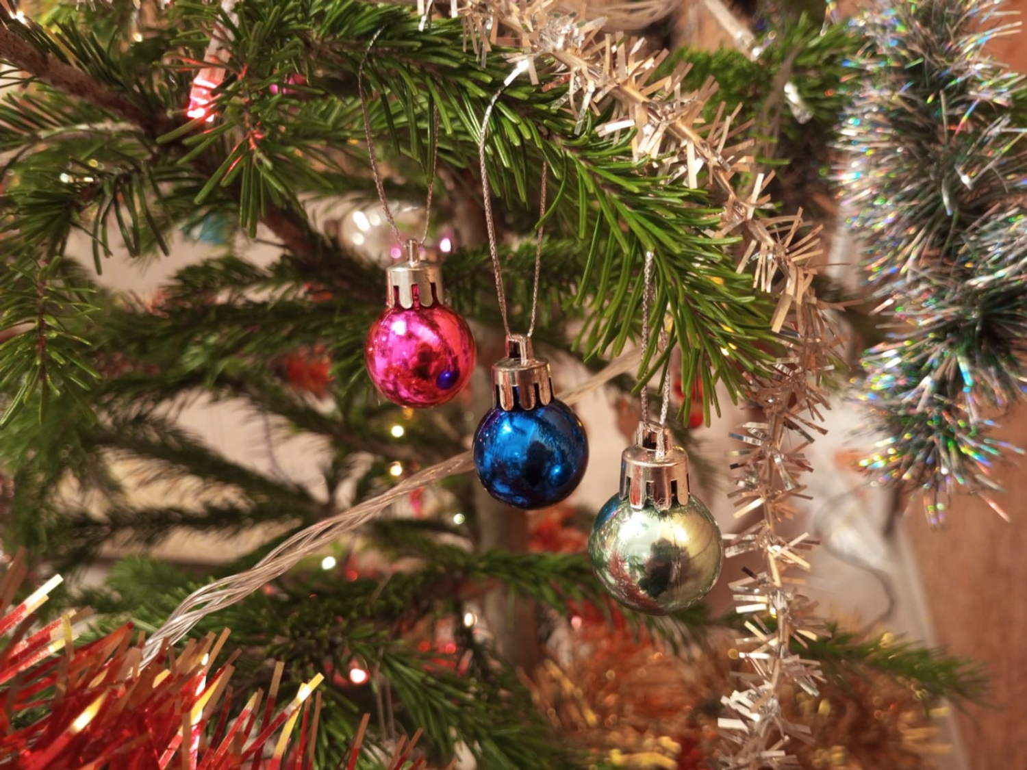 Евгении Сюткиной.