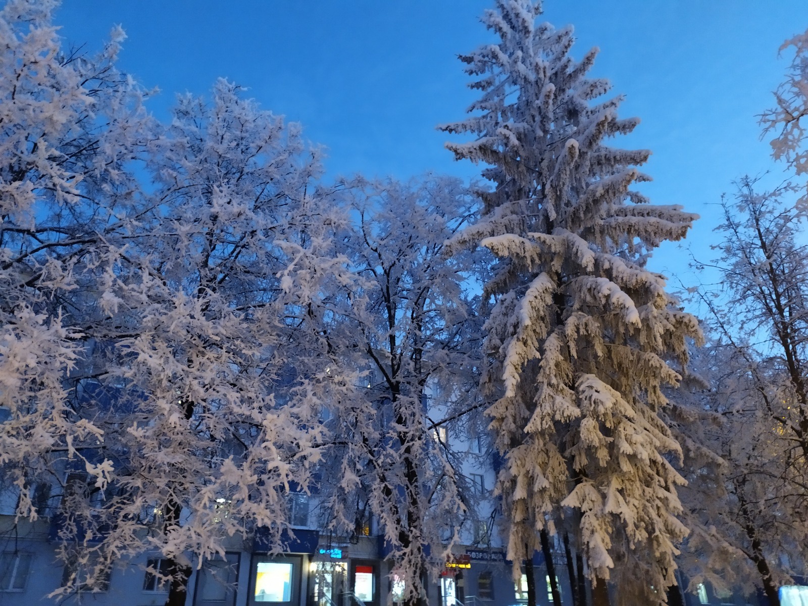 Васили Саитовой.