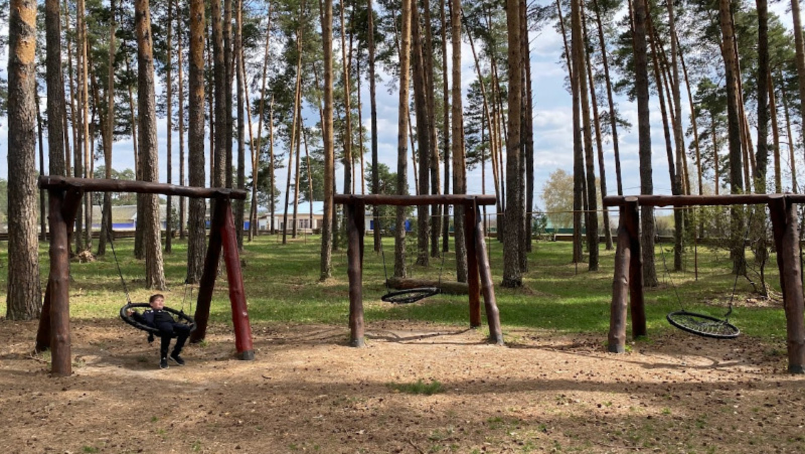 Елены Колоколовой.