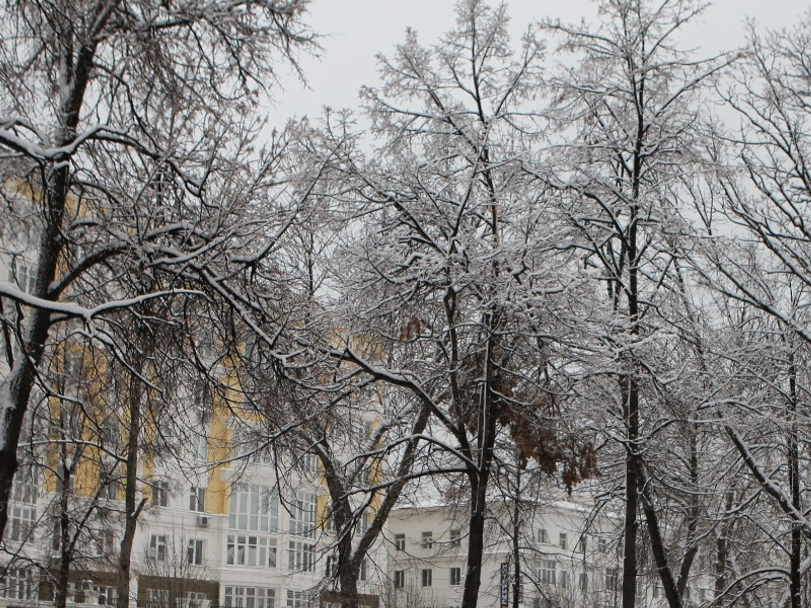 Фото Олега Яровикова.