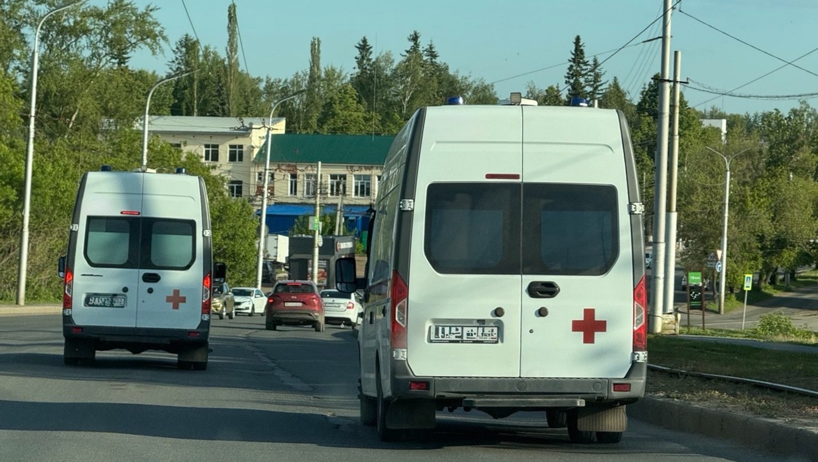 Елены Колоколовой.