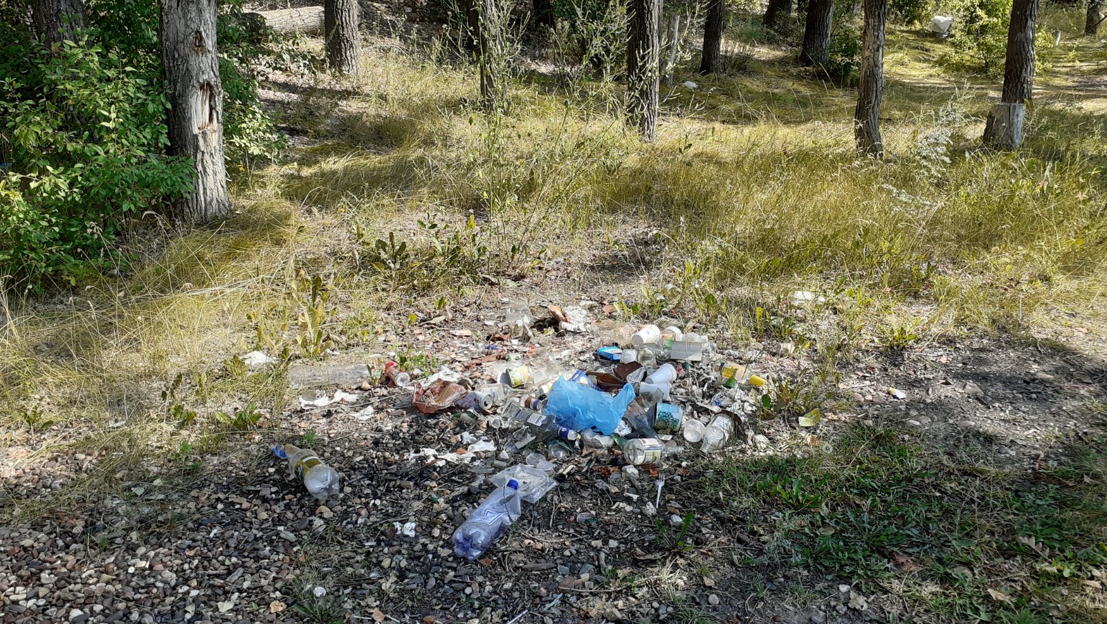 Владимира Шакиева.