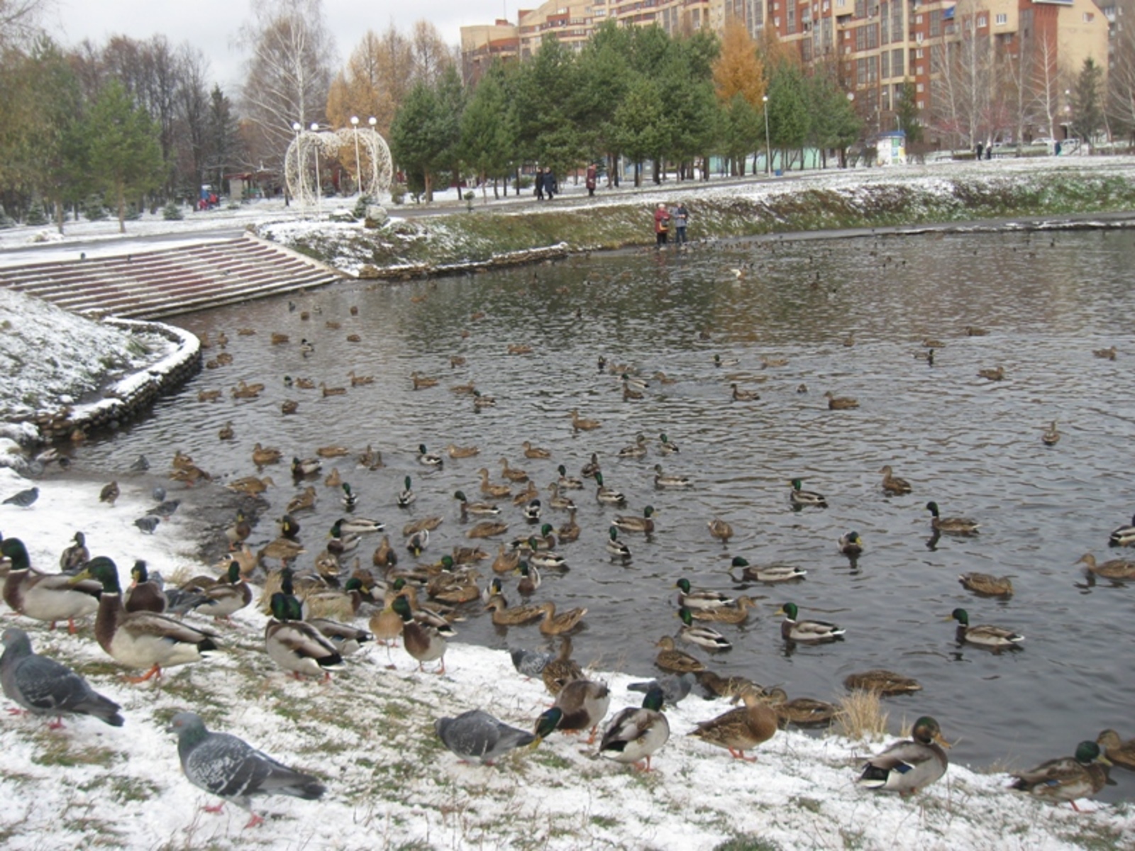 Фото автора.