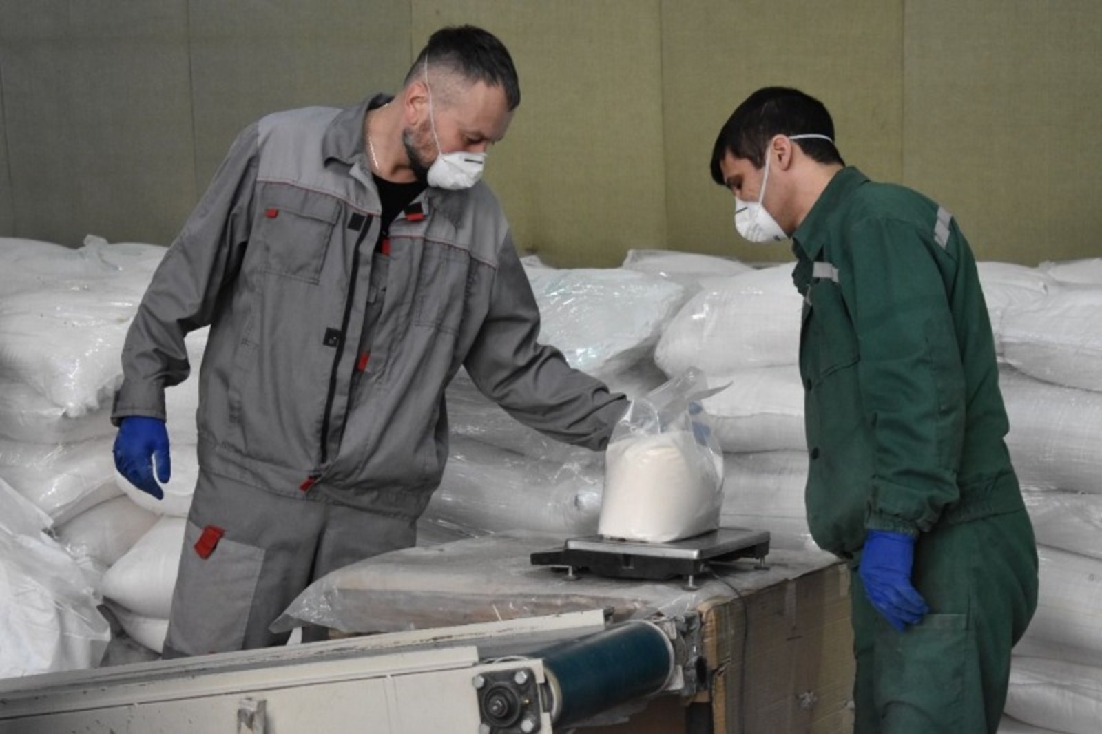 Елены Колоколовой.