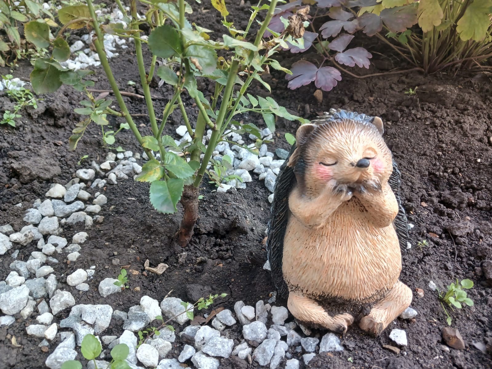 Васили Саитовой.