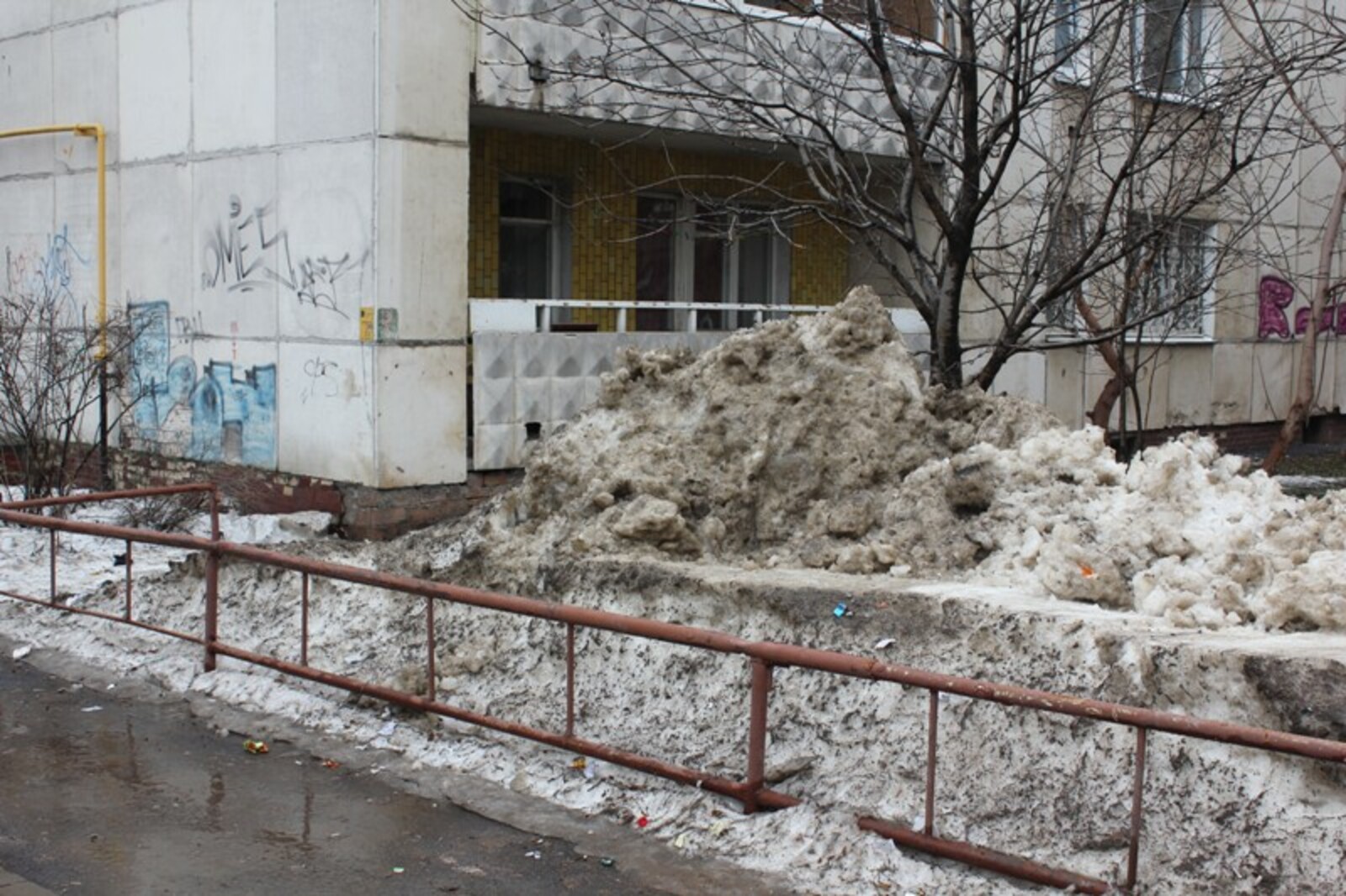 Фото автора и Андрея Старостина.