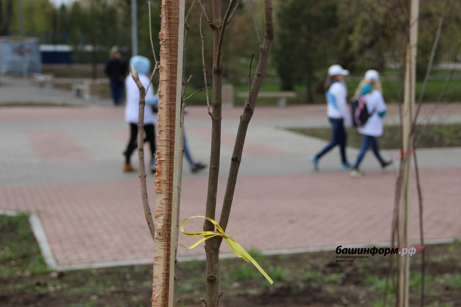 ИА «Башинформ».