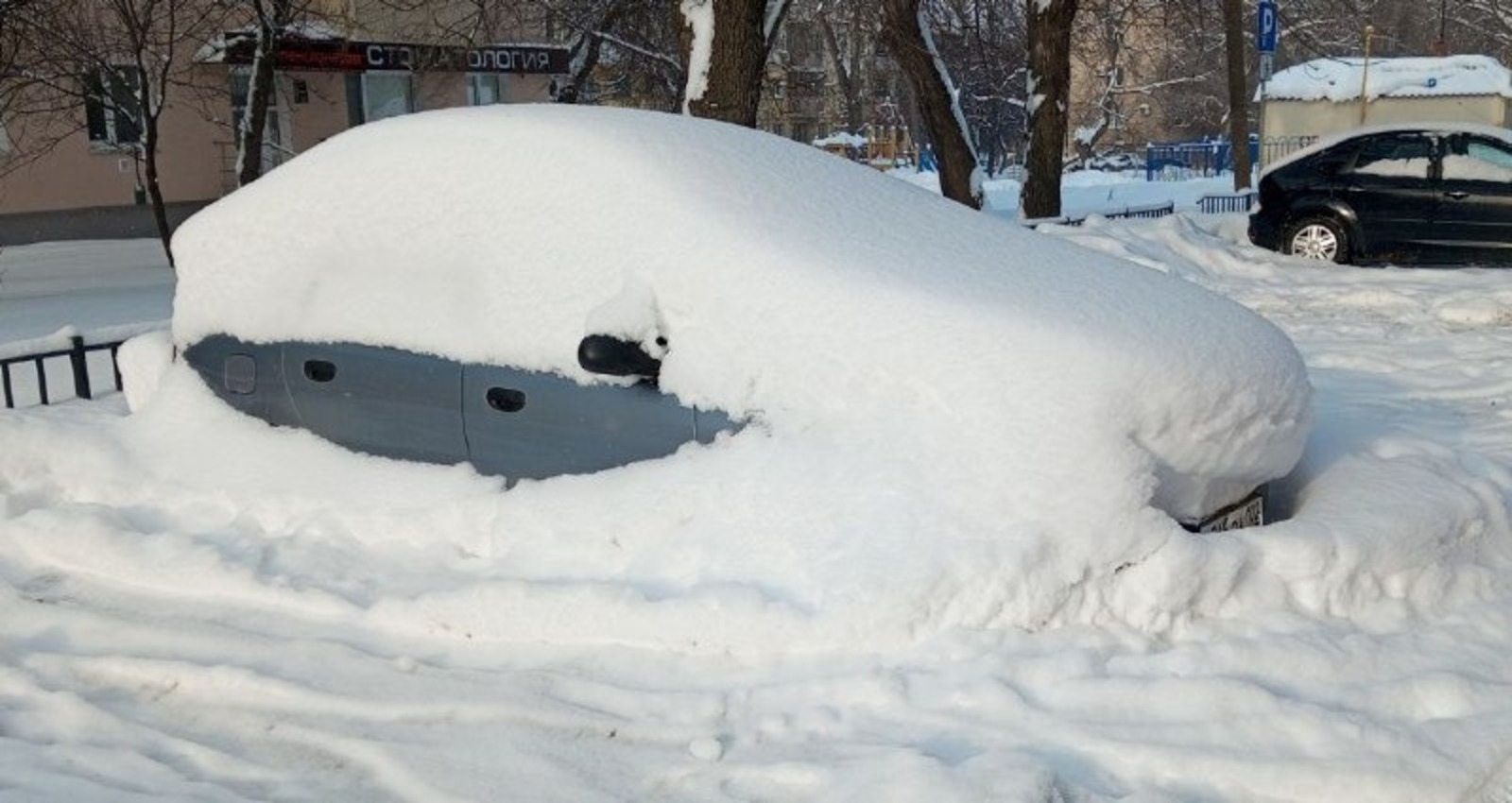 Евгении Сюткиной. «Общественная электронная газета».