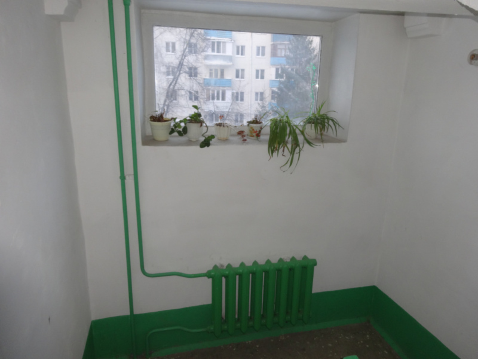 Фото автора.