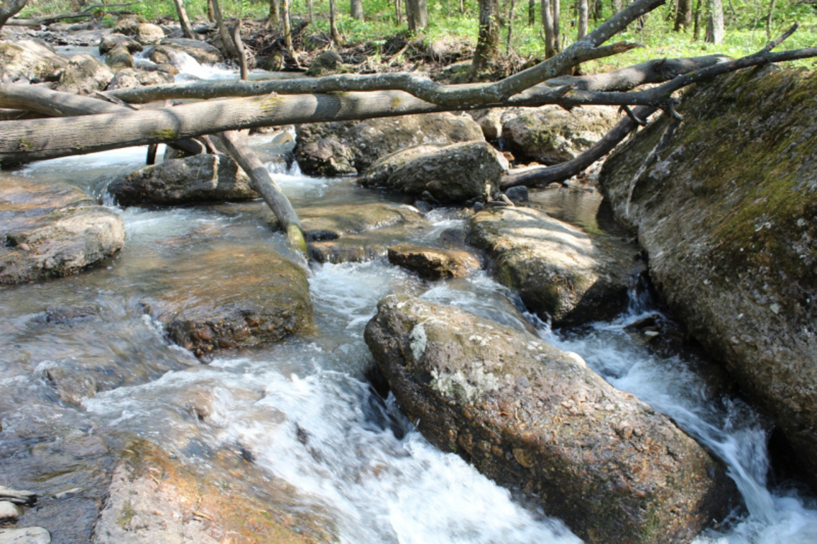 Фото автора.