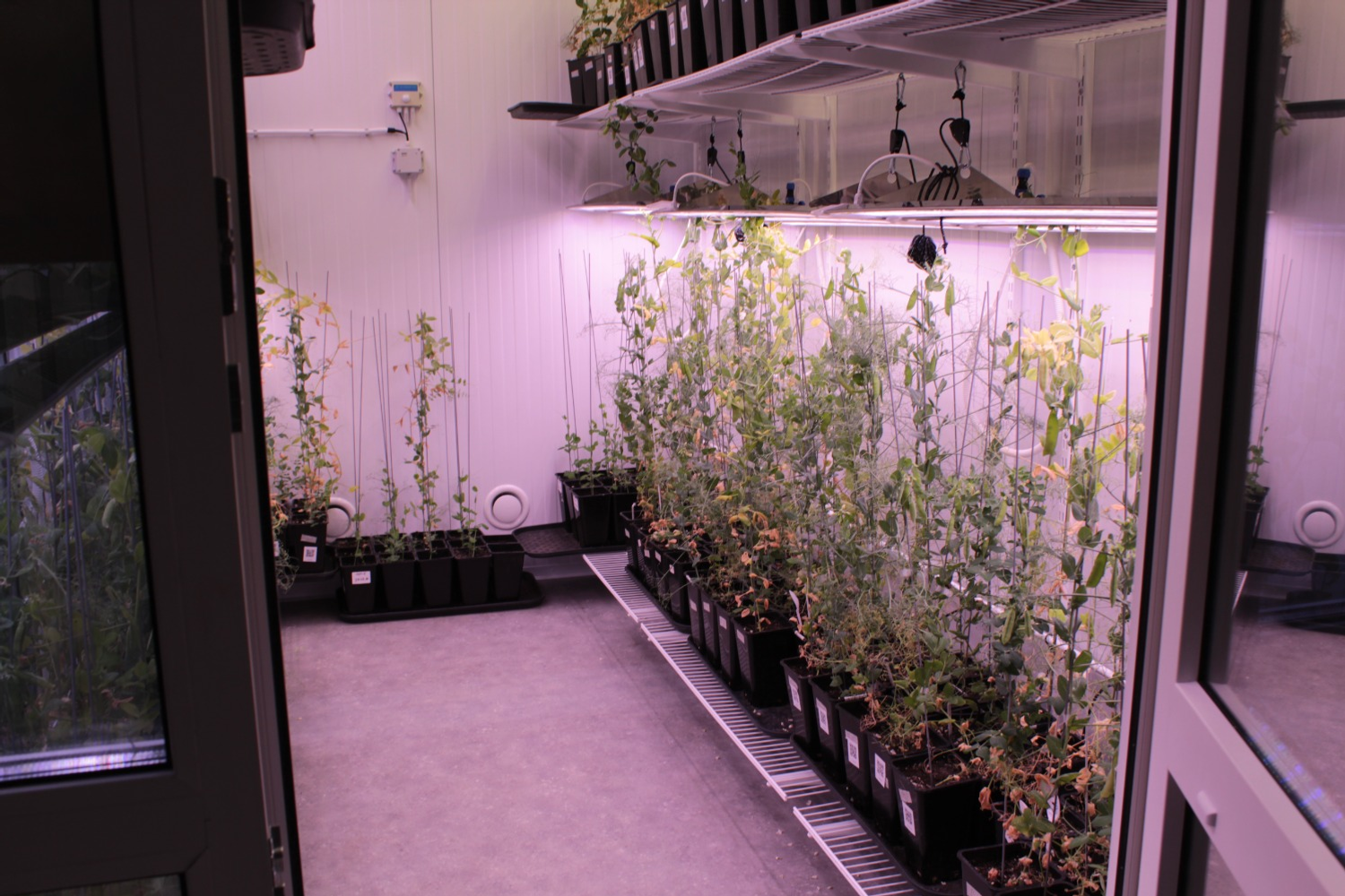 Дарьи Святохиной. «Общественная электронная газета».