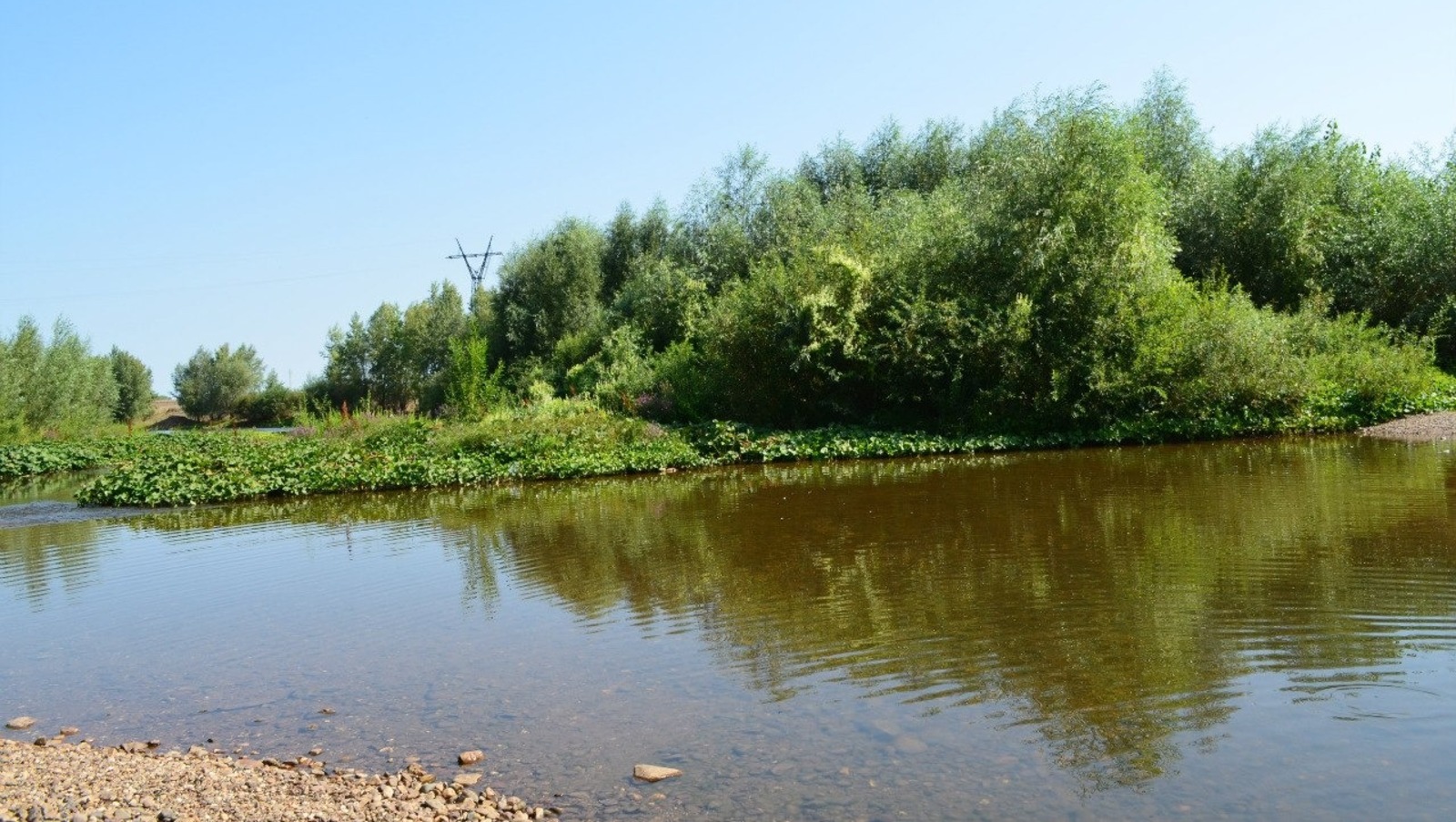 Владимира Шакиева.