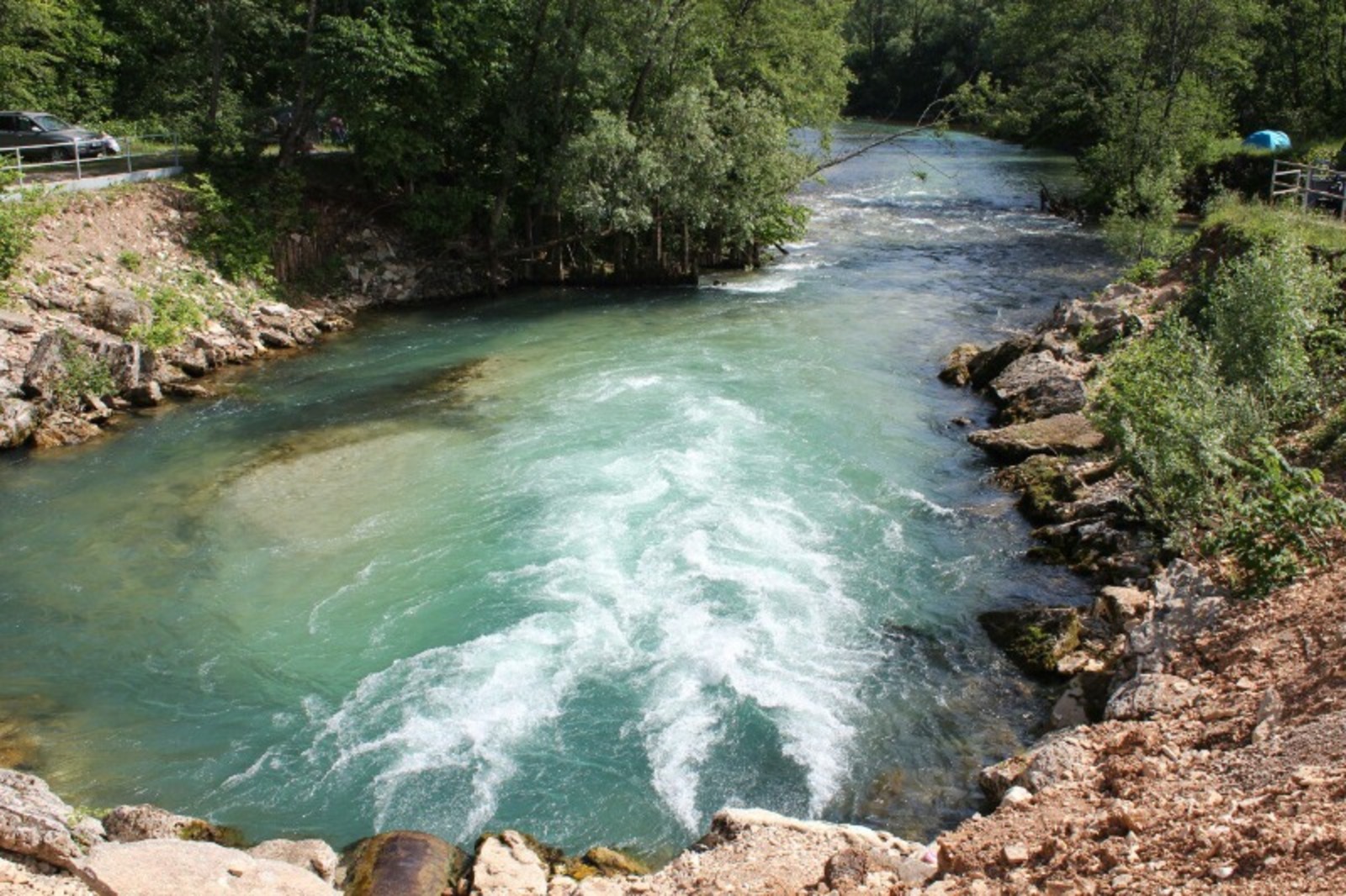 Дарьи Святохиной.