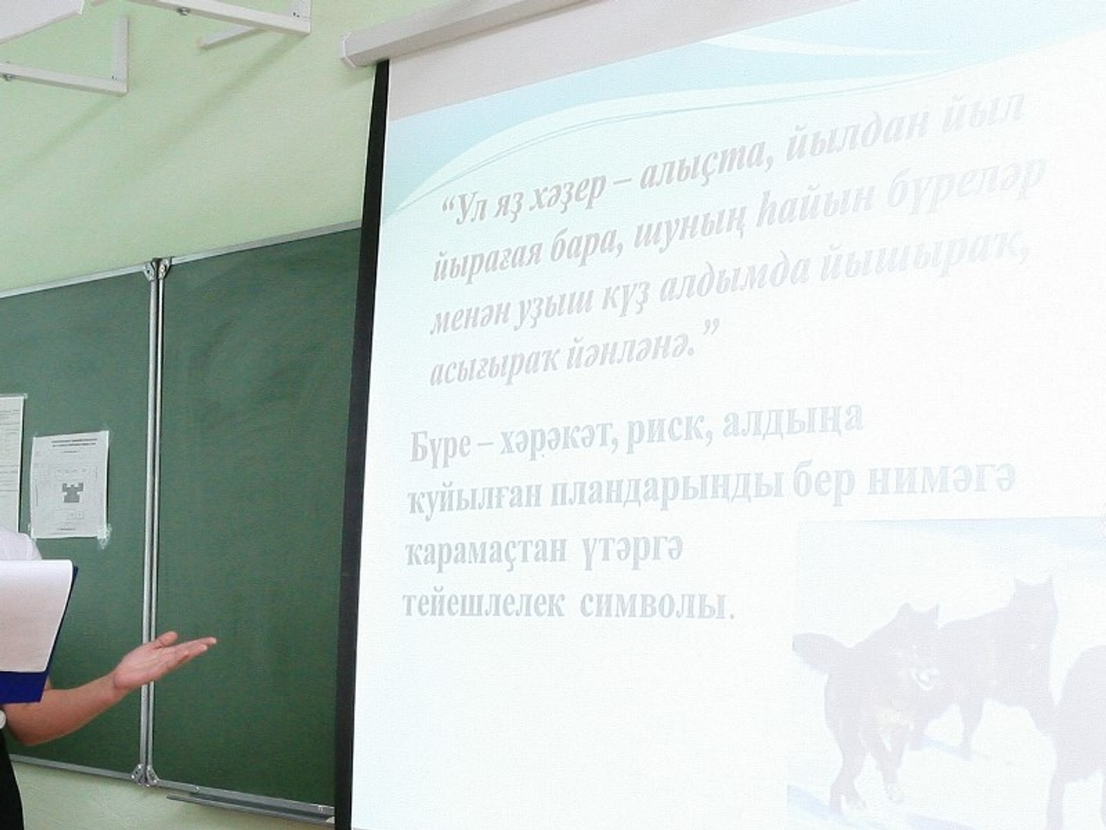 Фото Андрея Старостина.