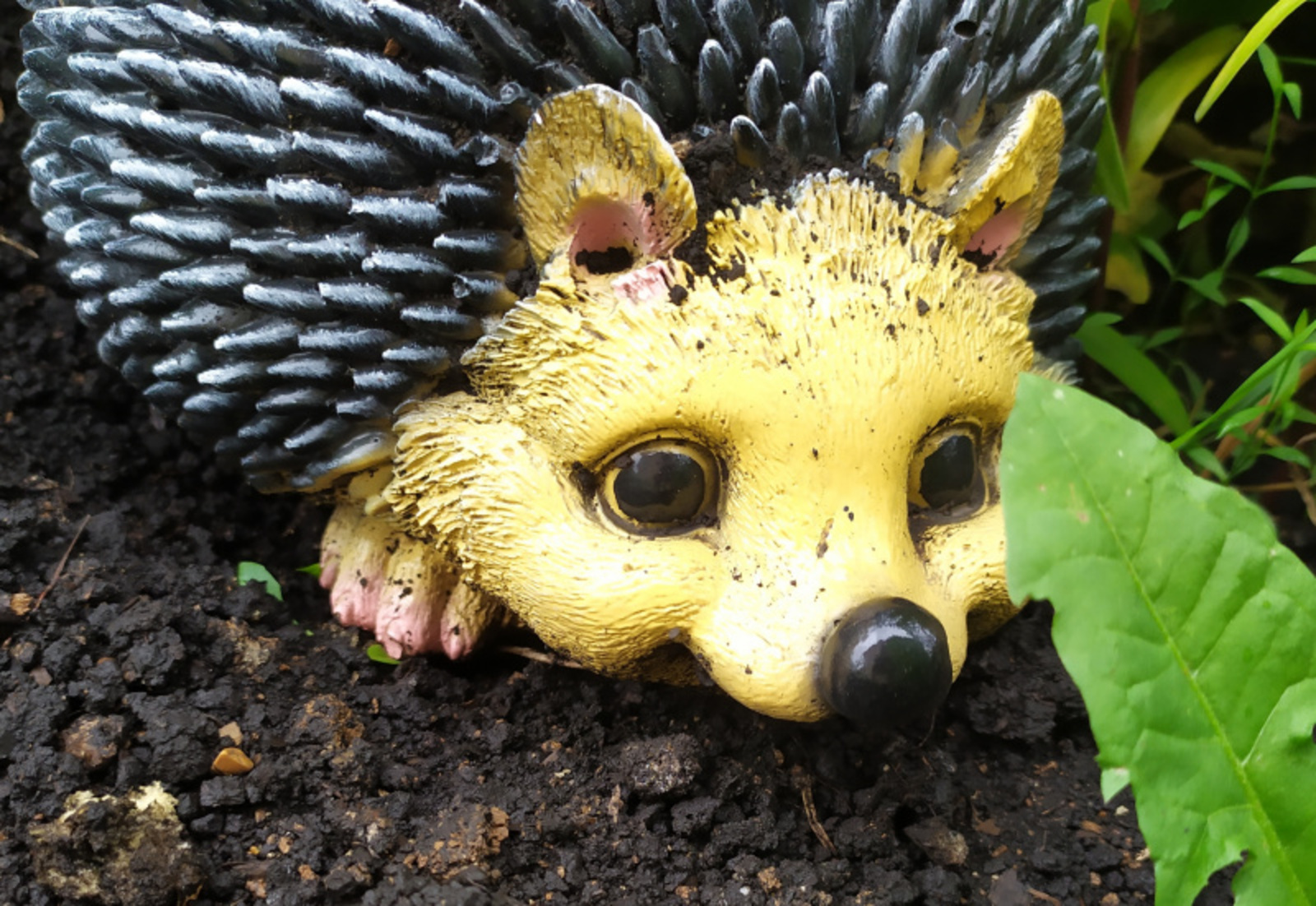 Фото Васили Саитовой.