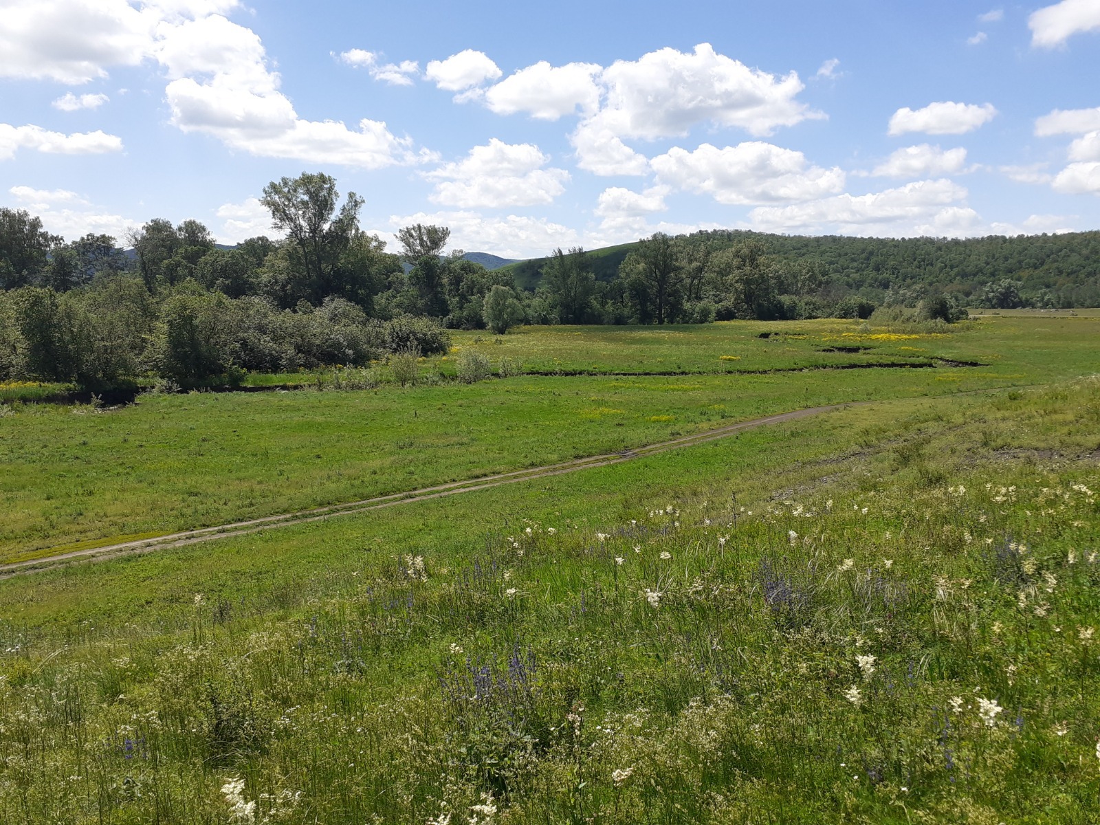 Владимира Шакиева.