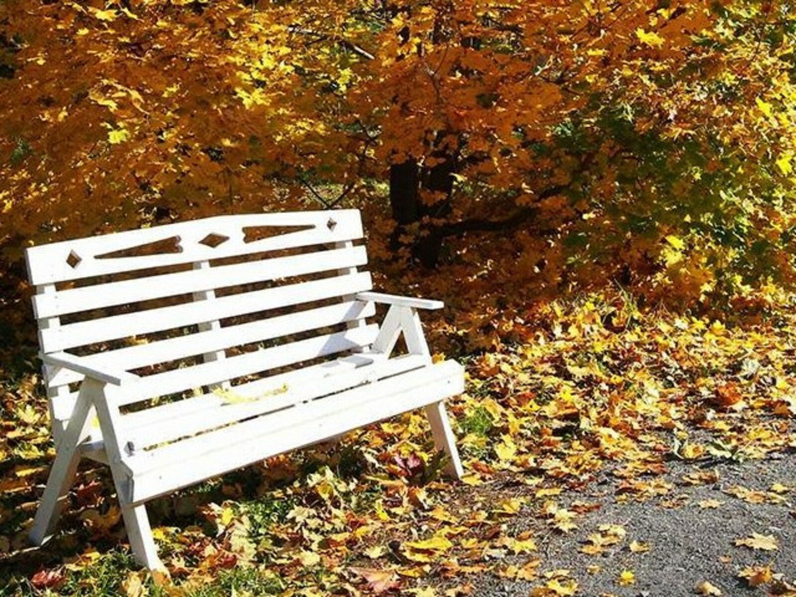 Фото Олега Яровикова.