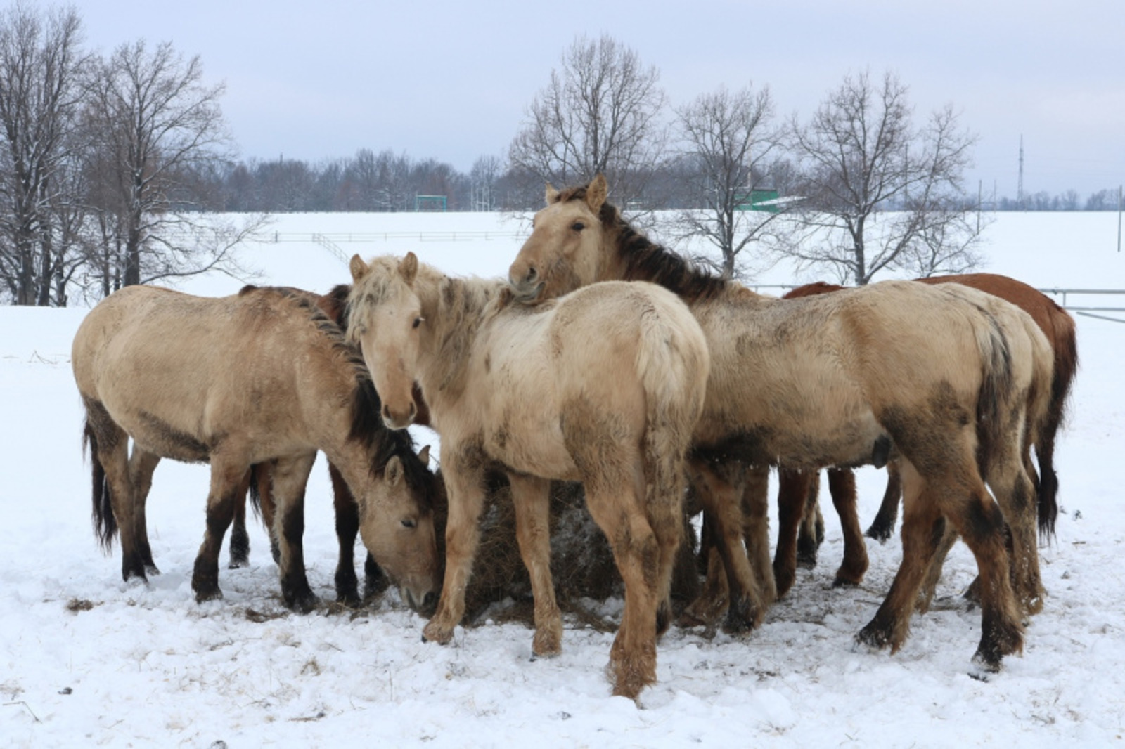 Фото Фарида Гильмиярова.