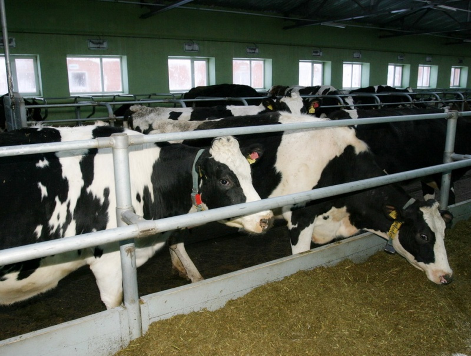 Фото Олега Яровикова.