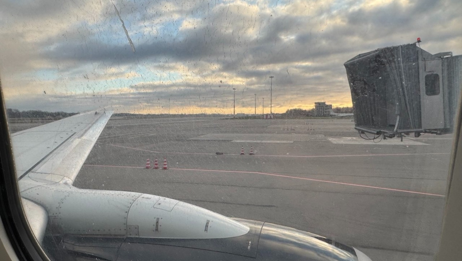 Елены Колоколовой.