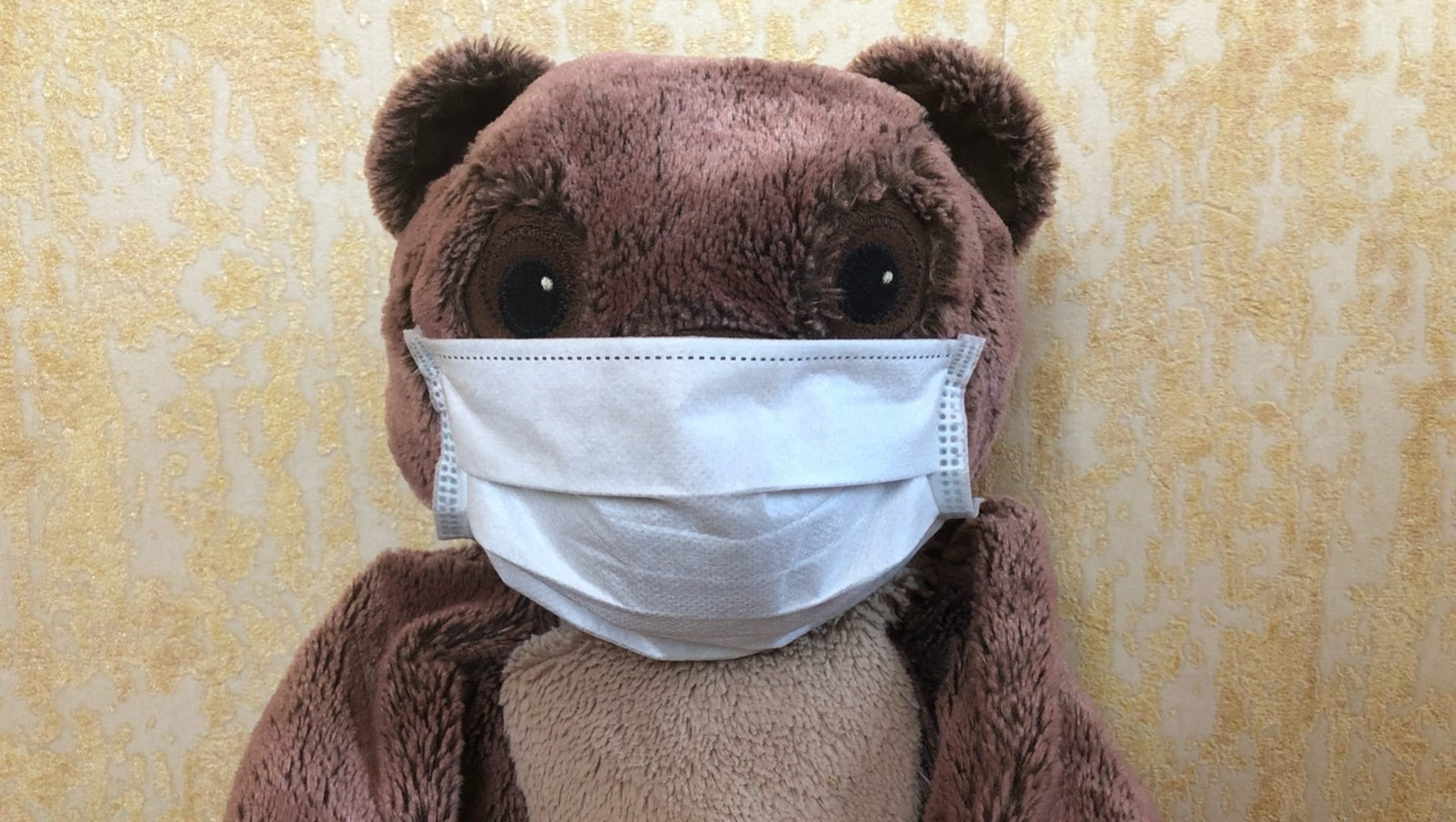 Елены Колоколовой.