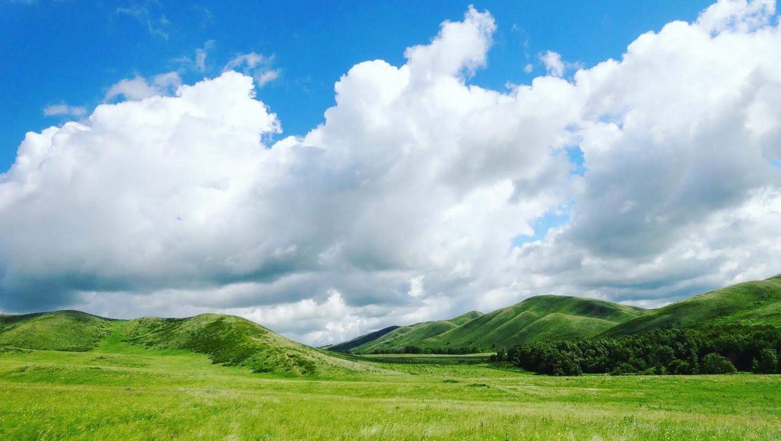 Елены Колоколовой.