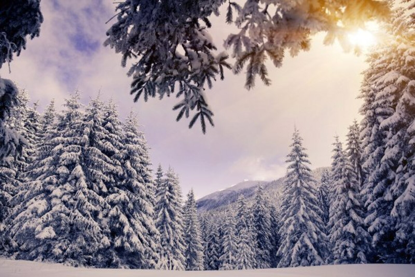 Фото предоставлено Игорем Исаевым.