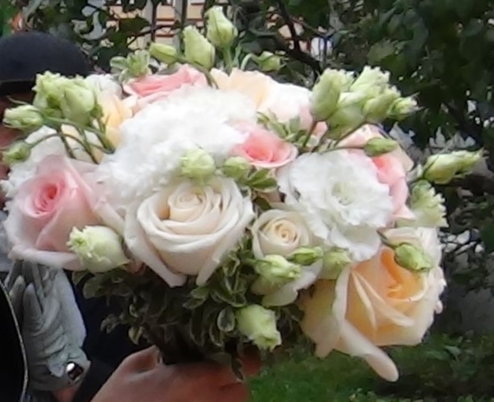 Елены Колоколовой.