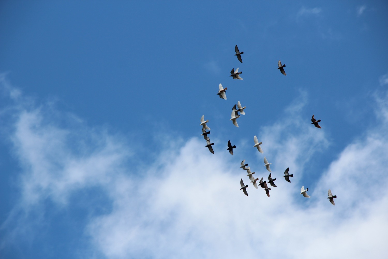 Евгении Сюткиной.